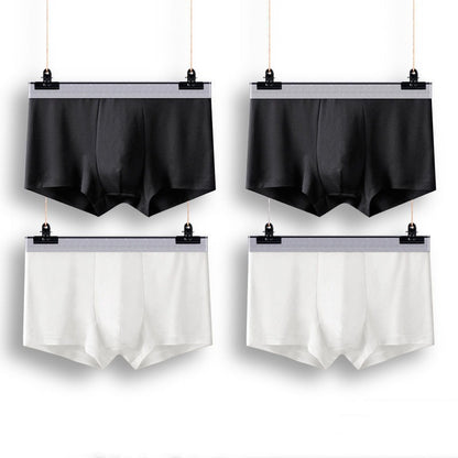 Boxers Baptiste